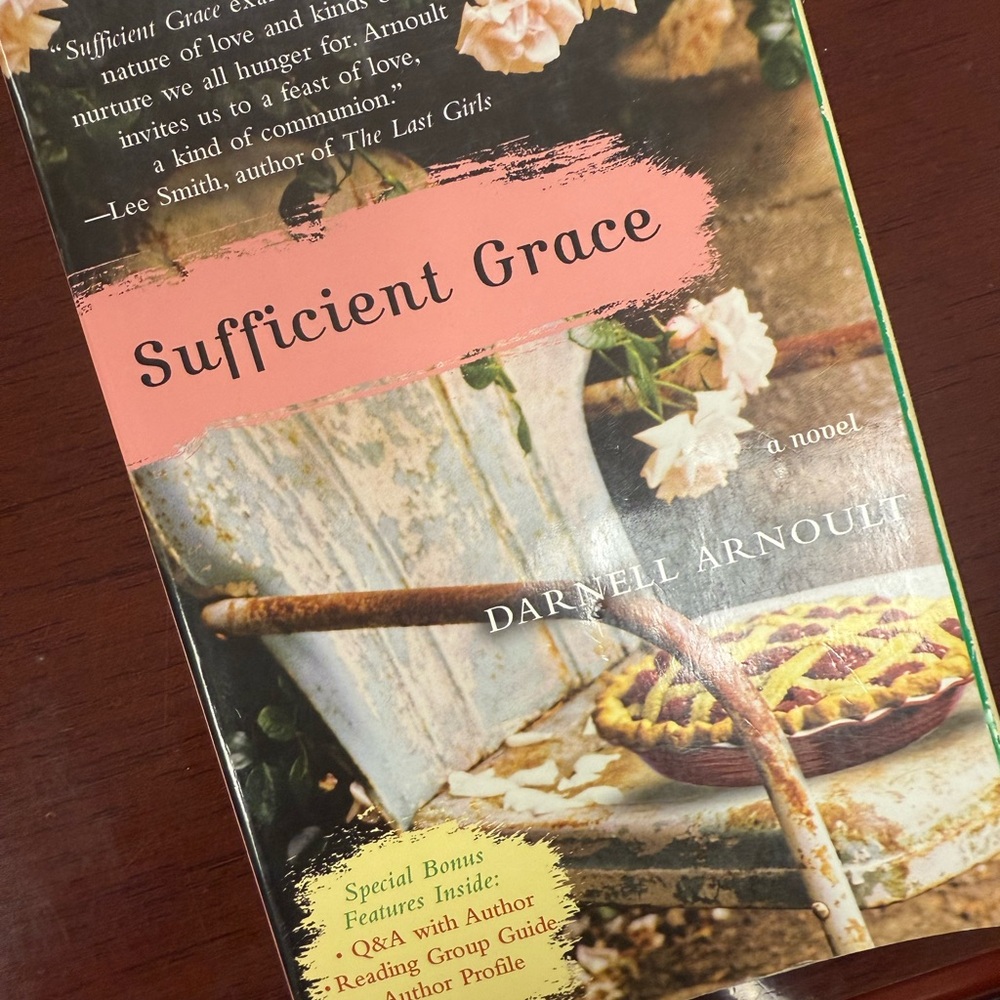 Sufficient Grace by Darnell Arnoult - Novel